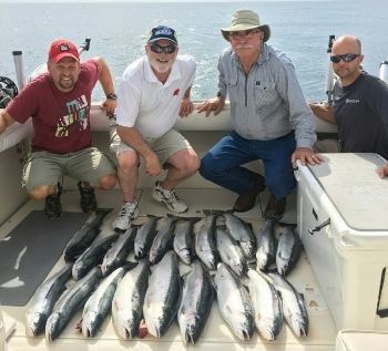 Rainbow Trout Charter Fishing on Lake Michigan