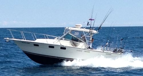 Coho Salmon Charter Fishing Boat