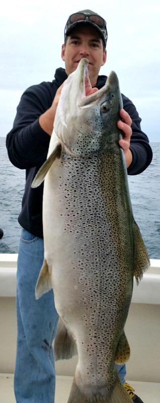 Trophy Brown Trout from Lake Michigan July 2015