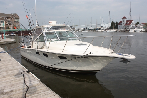 Lake Michigan Milwaukee Charter Fishing Boat
