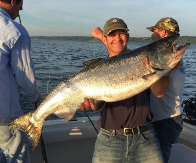 Chinook Salmon Charter Fishing Milwaukee