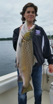 Brown Trout Charter Fishing Lake Michigan