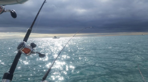 Milwaukee Charter Fishing in May